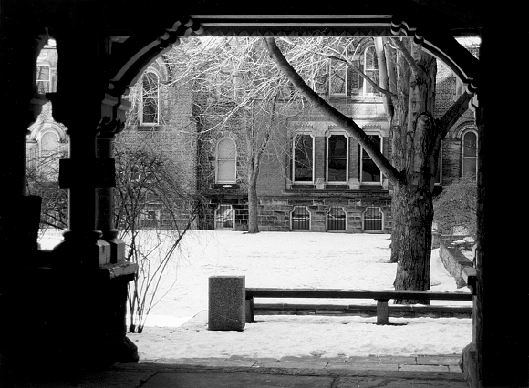 University College at University of Toronto by Shannon Persaud